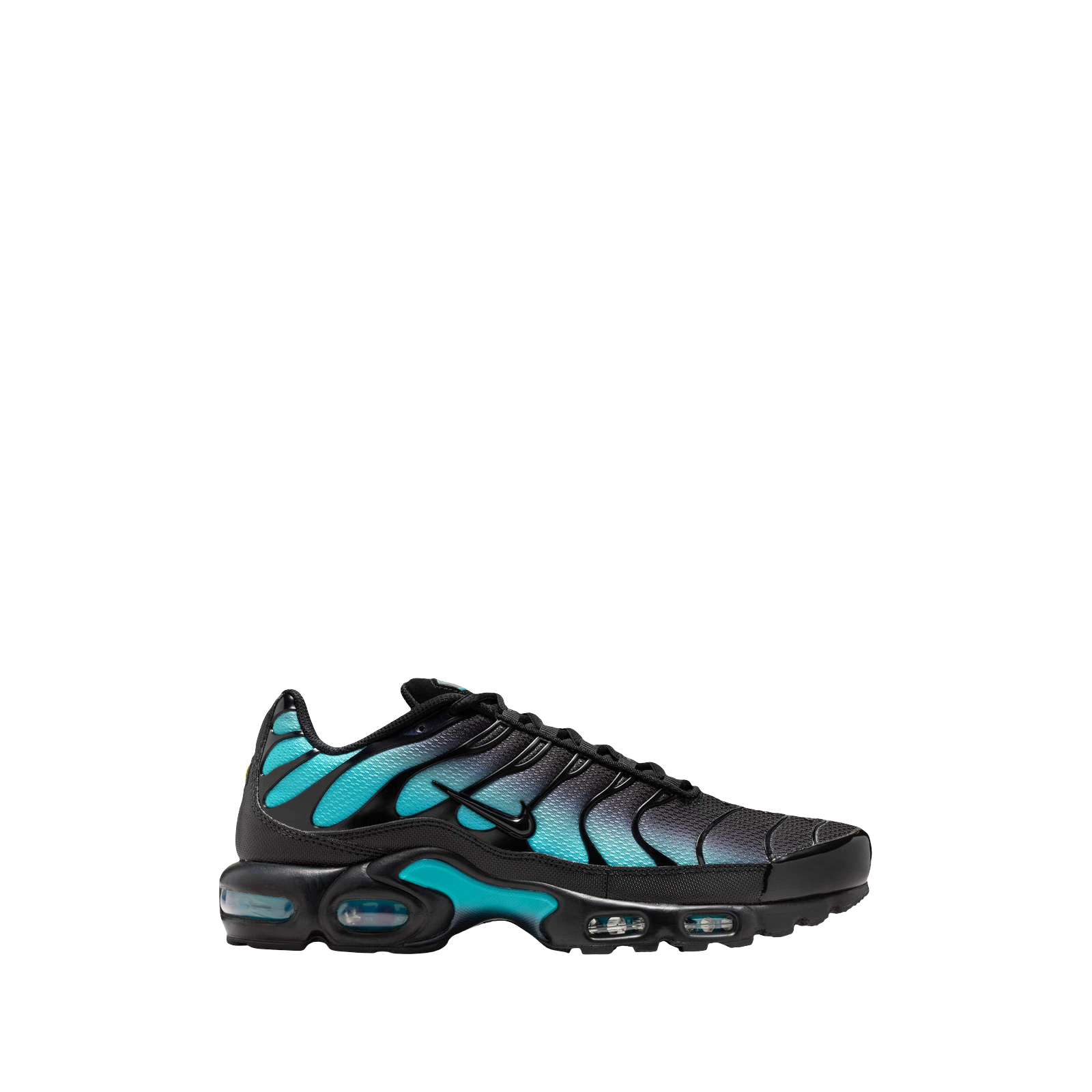 AIR MAX PLUS TN « BLACK DUSTY CACTUS »