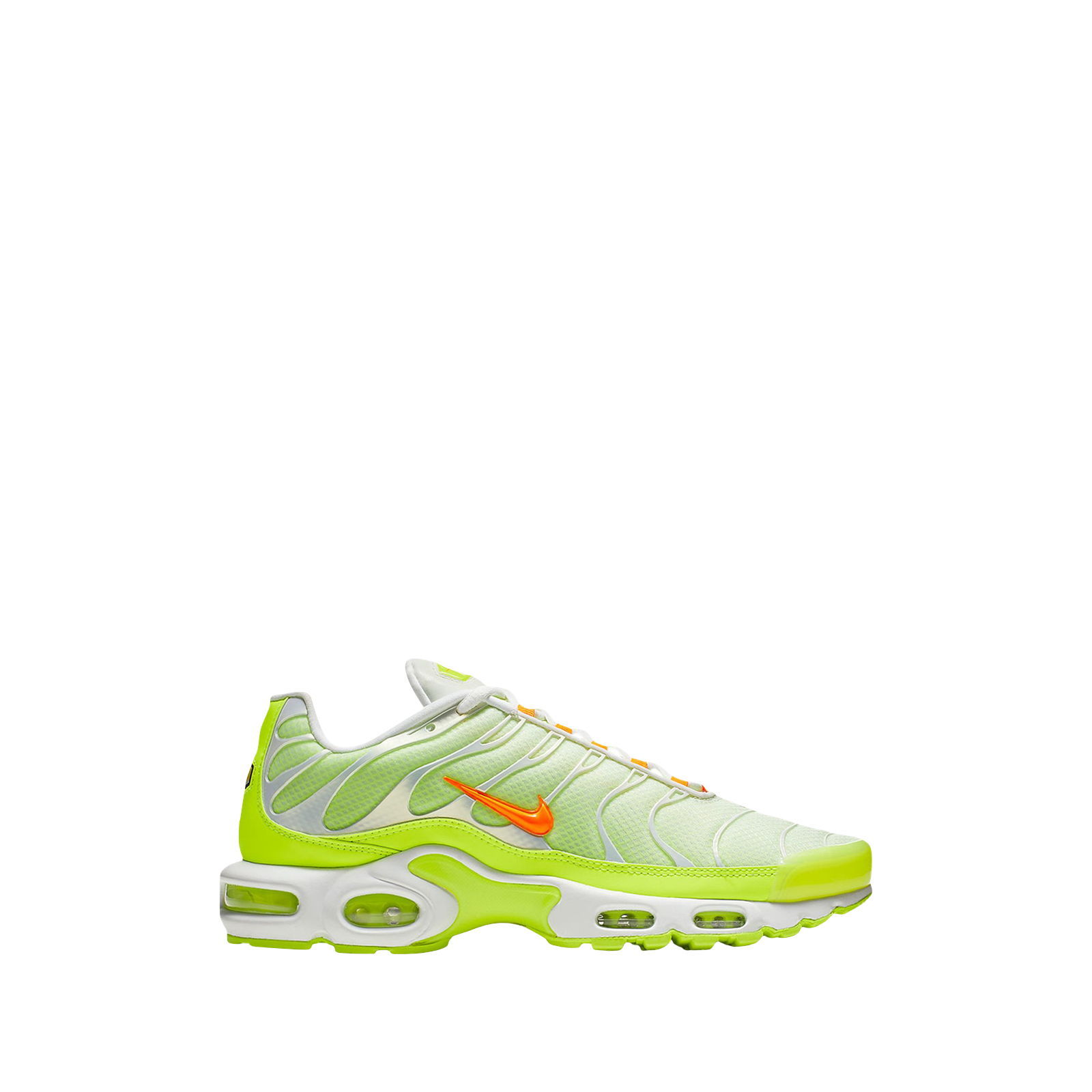 AIR MAX PLUS TN « COLOR FLIP »