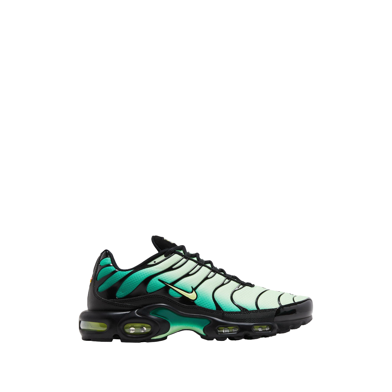 AIR MAX PLUS TN « VAPOR GREEN GRADIENT »