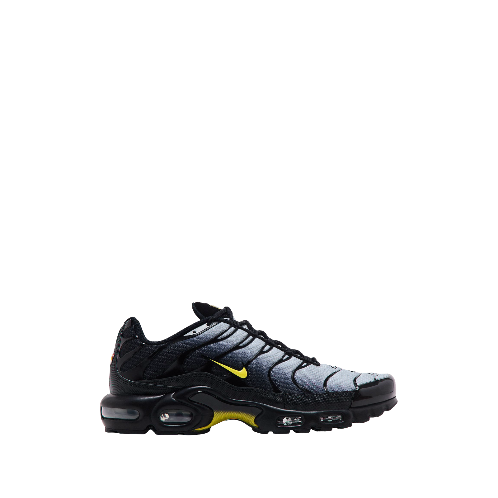 AIR MAX PLUS TN « WOLF GREY OPTI YELLOW »