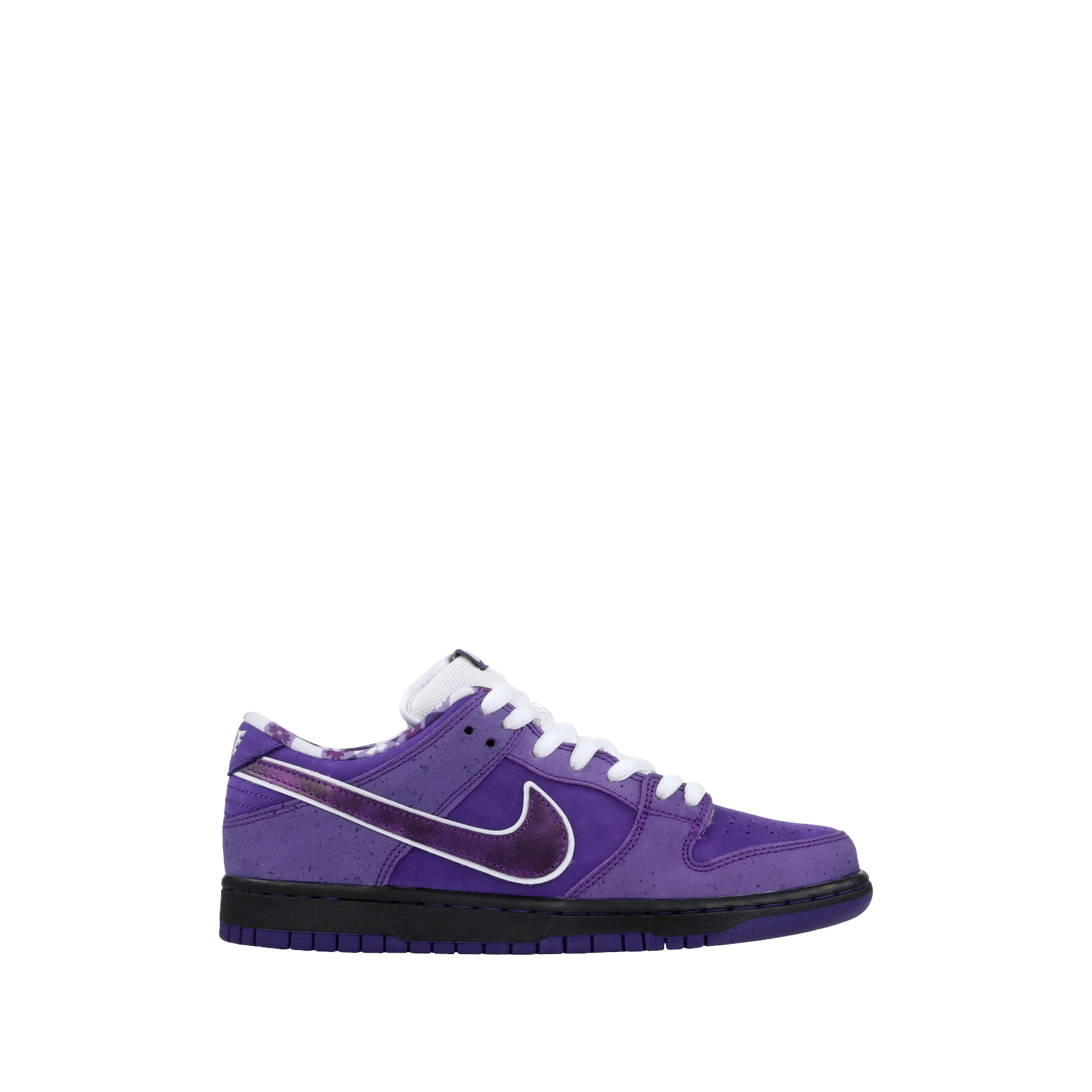 CONCEPTS X DUNK LOW SB « PURPLE LOBSTER »