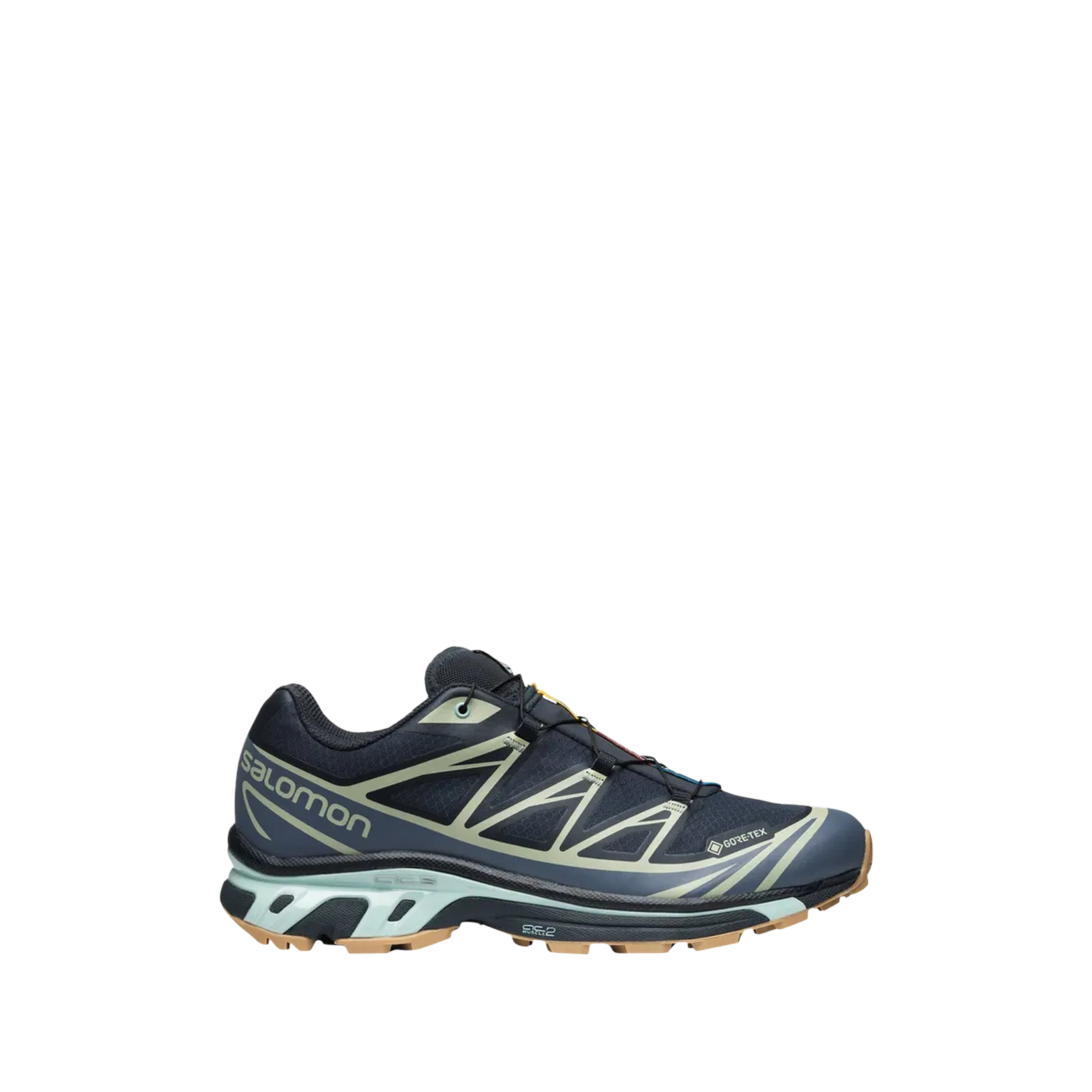 XT-6 GORE-TEX « CARBON DESERT SAGE »
