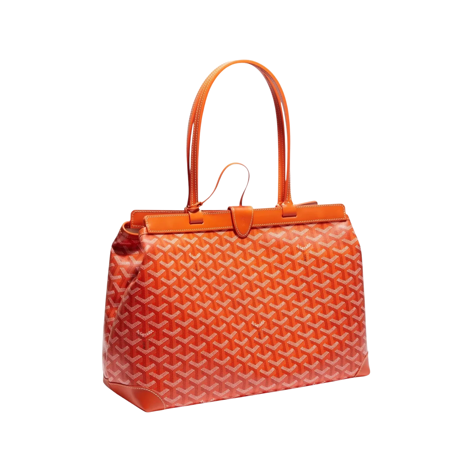 BELLECHASSE BIAUDE PM 36CM