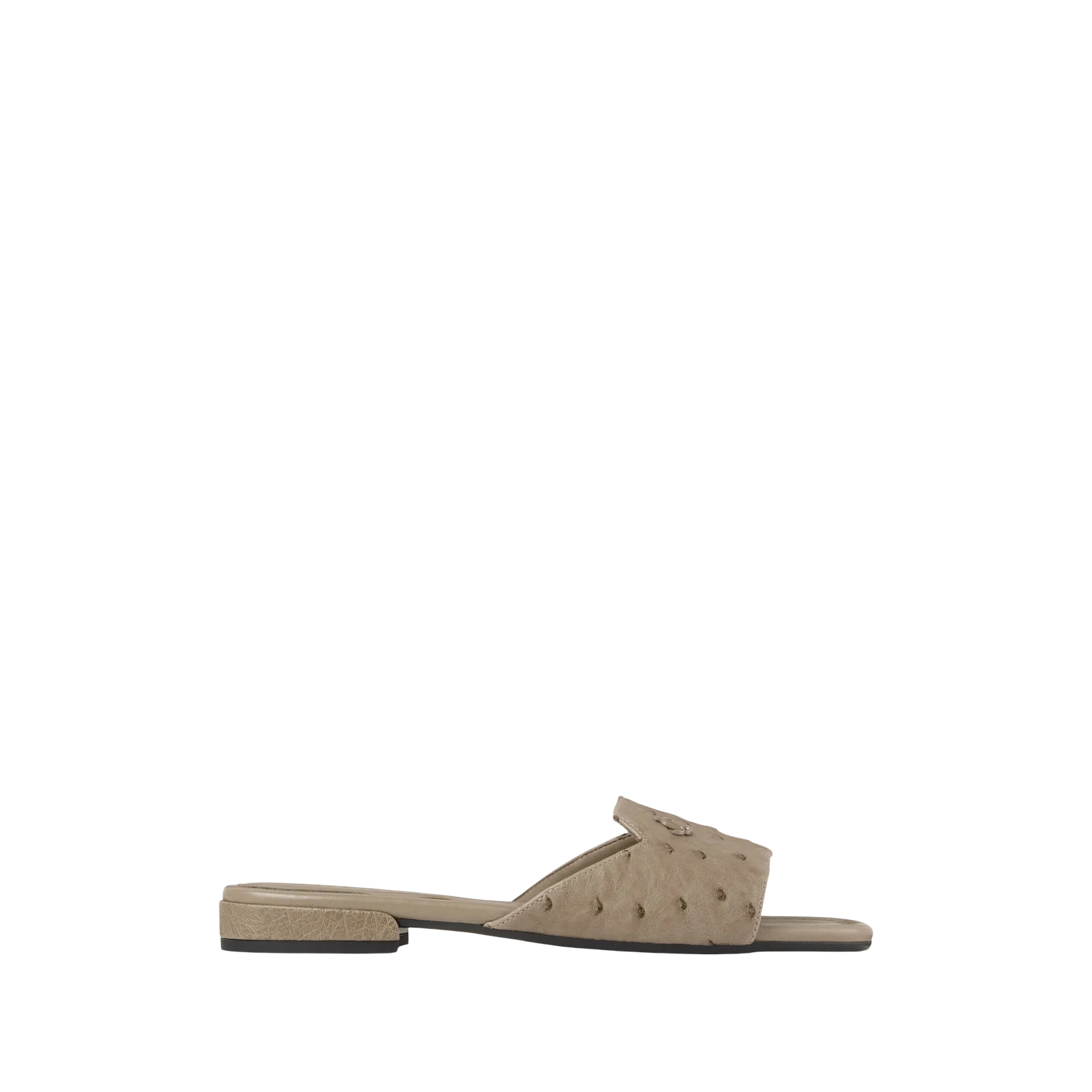 DINA FLAT
