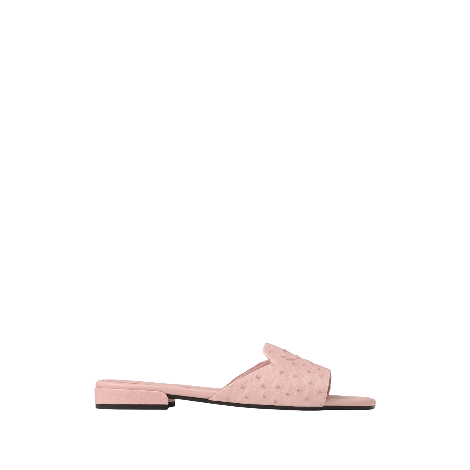 DINA FLAT