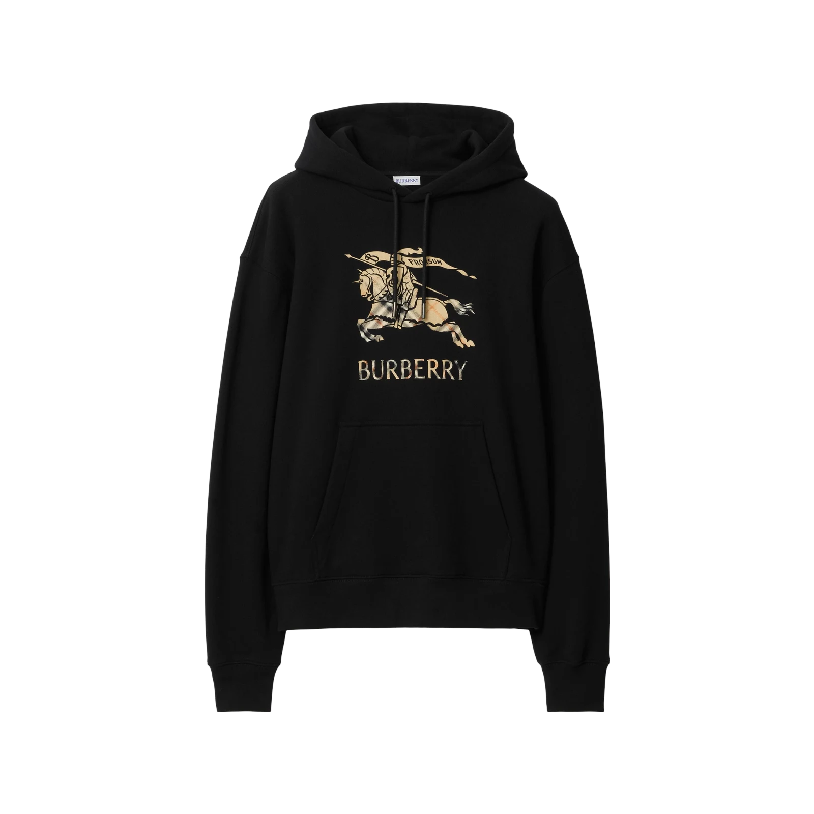 HOODIE EN COTON EKD OMBRÉ