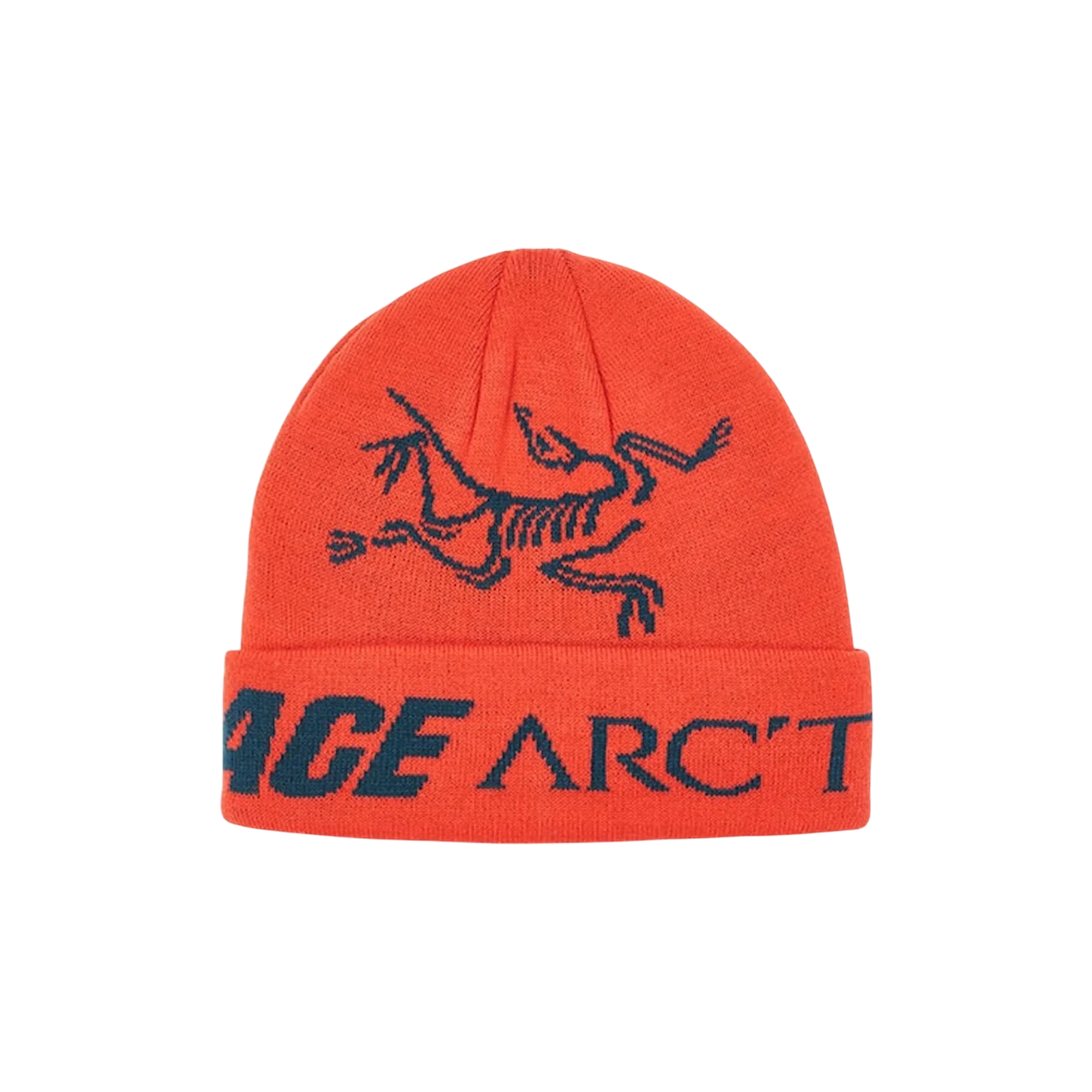 PALACE X ARC’TERYX BEANIE « DYNASTY »