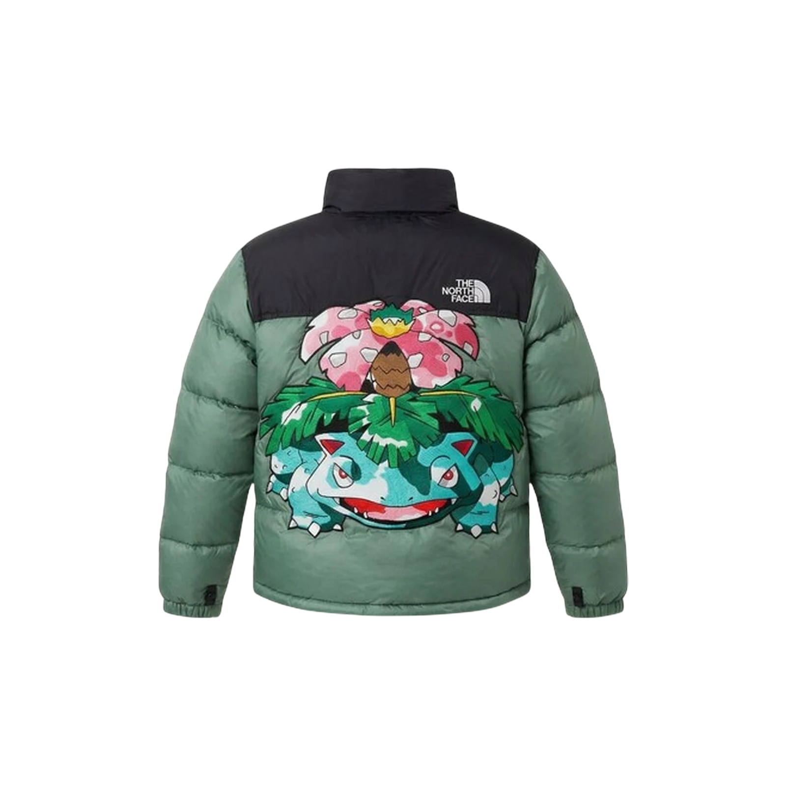 POKÉMON X NUPTSE 1996 « FLORIZARRE »