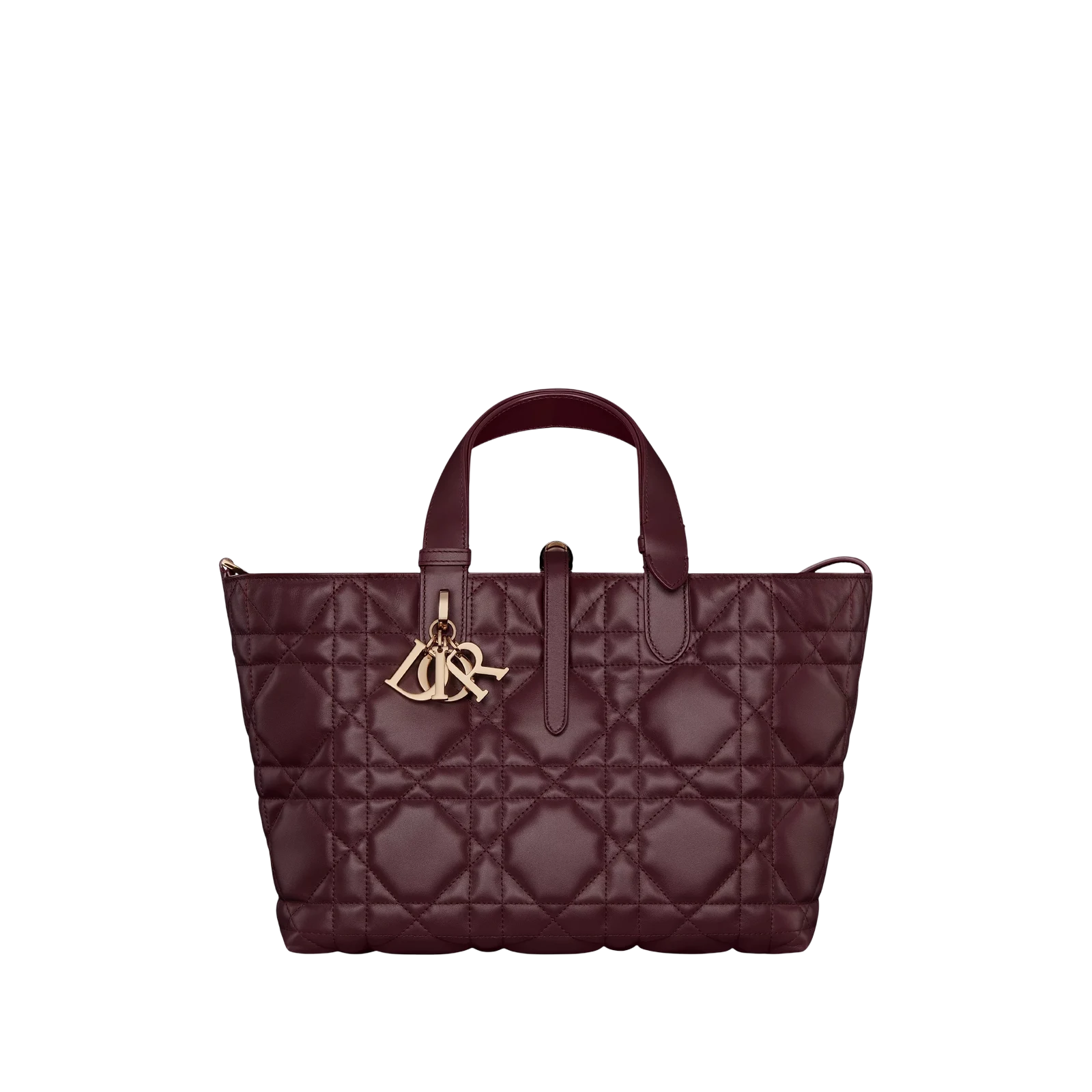 SAC DIOR TOUJOURS MEDIUM 28CM