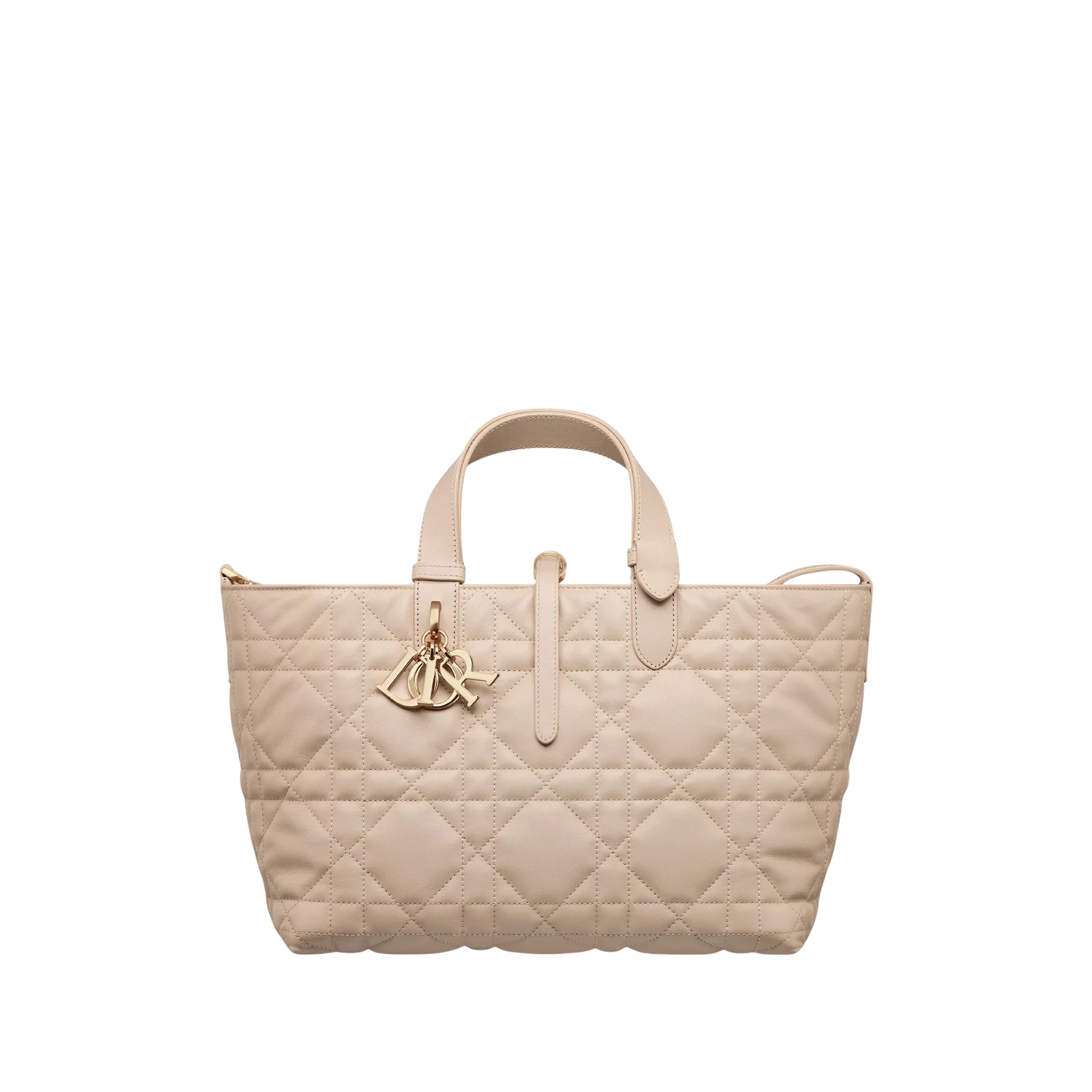 SAC DIOR TOUJOURS MEDIUM 28CM