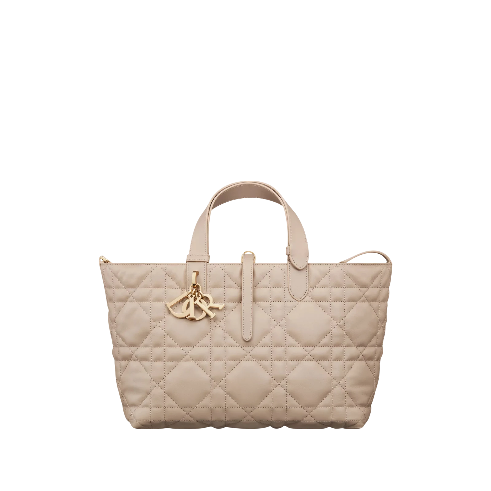SAC DIOR TOUJOURS MEDIUM 28CM