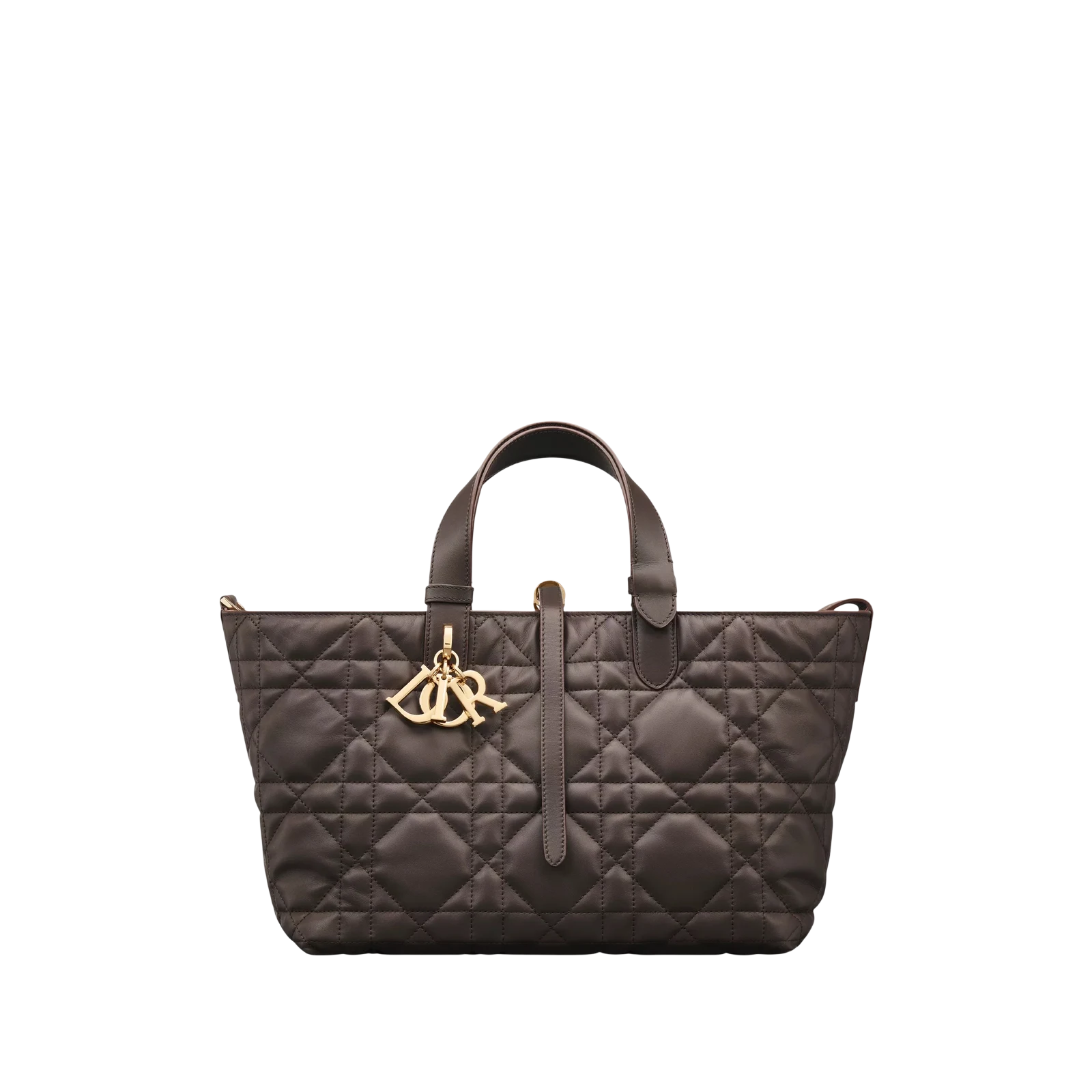SAC DIOR TOUJOURS MEDIUM 28CM