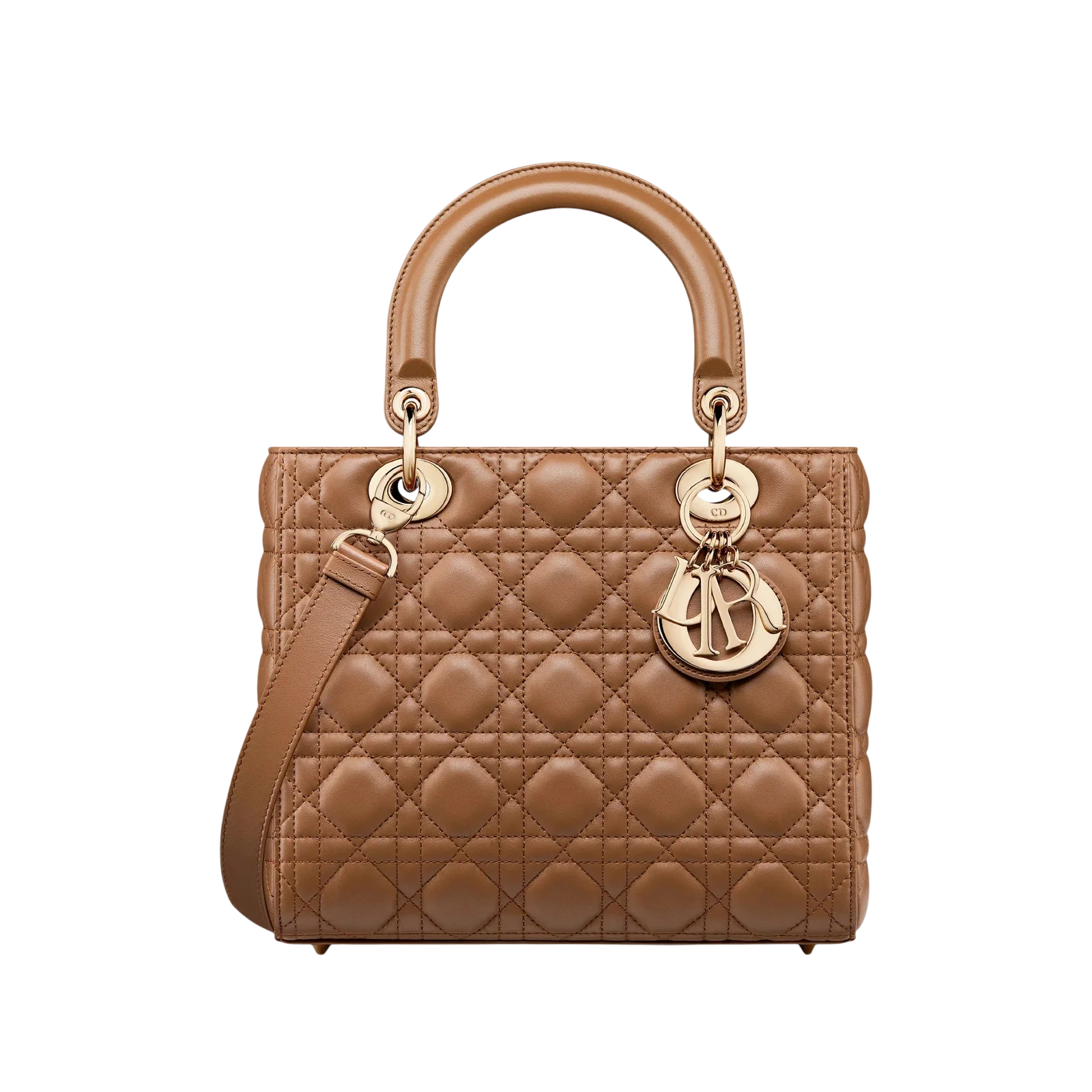 SAC LADY DIOR MEDIUM 24CM